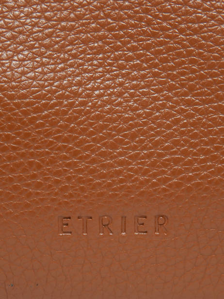 Housse Ordinateur Pc 13'' Flandres Cuir Etrier Marron flandres EFLA8833 vue secondaire 4